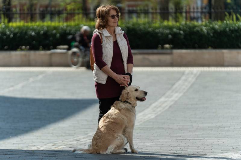 2025_04_05_terden allo rozsafuzer_32.jpg